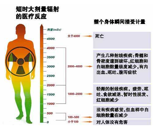 急性放射损伤和慢性放射损伤