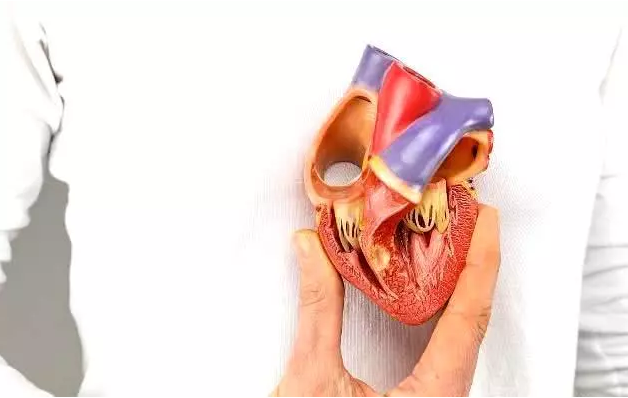 心脏支架真被国外淘汰了吗？真相在这里